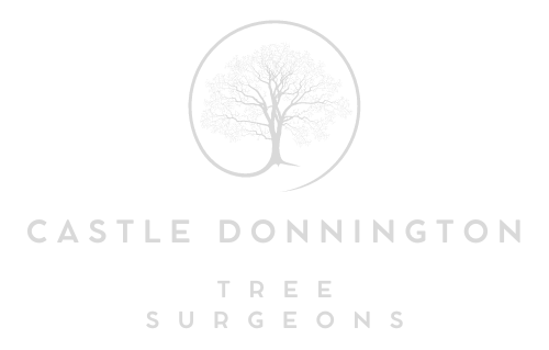 Castle Donnington Tree Surgeons